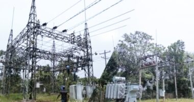 নিরাপত্তা প্রহরীকে অস্ত্রের মুখে জিম্মি করে বিদ্যুৎ উপ-কেন্দ্রের ৪ লাখ টাকার মালামাল লুট