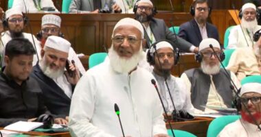 শহীদদের সংখ্যা যদি ৮০০ প্লাস হয়, তাহলে আমি ১২০০ বাড়িতে গেলাম কীভাবে : ডা. শফিকুর