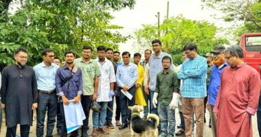 জলাতঙ্ক প্রতিরোধে নজরুল বিশ্ববিদ্যালয়ে কুকুরের টীকাদান কর্মসূচি