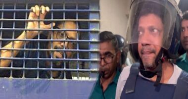 আদালতে নেওয়ার পথে প্রিজনভ্যান দুর্ঘটনায় আহত সাবেক প্রতিমন্ত্রী পলক