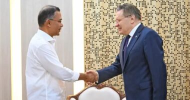 প্রধানমন্ত্রীর সঙ্গে রোসাটম মহাপরিচালকের সাক্ষাৎ