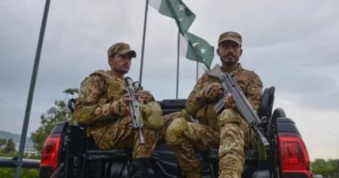 আফগানিস্তানের বিশ্ববিদ্যালয়ে পাকিস্তানি হামলার অভিযোগ, নিহত ৭