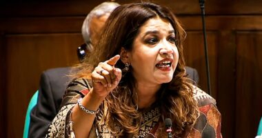 বটবাহিনী দিয়ে ‘ভাইরাল’ হয়ে রাজনীতি হয় না:  শামা ওবায়েদ