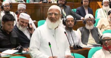 পড়ছি মছিবতে, সবাই আমাকে ভালোবেসে কচলায়: সংসদে বিরোধীদলীয় নেতা