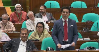 ‘হাওয়ার সঙ্গে যুদ্ধ করেছে মুক্তিবাহিনী ? আমরা রাজাকারের সঙ্গে যুদ্ধ করেছি’ : পার্থ