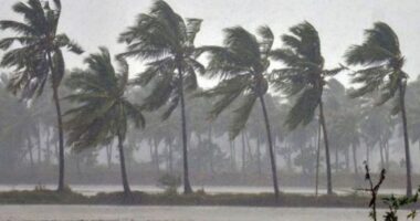 দুপুরের মধ্যে যেসব অঞ্চলে ঝড় ও বজ্রবৃষ্টির আভাস