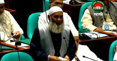 কুরআনের বিধান বাংলাদেশে চালু হওয়া উচিত ছিল : জামায়াতের এমপি