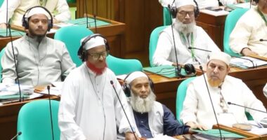 ১৯৭৮ সালে জন্ম নেওয়া বিএনপি কীভাবে ‘মুক্তিযুদ্ধের দল’, প্রশ্ন আজহারের