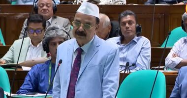 প্রতিবেশী দেশের সঙ্গে বন্ধুত্ব হবে সমমর্যাদার ভিত্তিতে, কিন্তু স্বামী-স্ত্রীর সম্পর্ক নয় : গয়েশ্বর