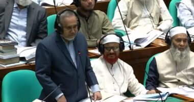 আমিও একজন ‘শিশু মুক্তিযোদ্ধা’: সংসদে জামায়াতের নায়েবে আমির