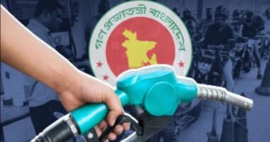 জ্বালানি তেলের দাম বাড়াল সরকার: ডিজেল ১১৫, পেট্রোল ১৩৫ ও অকটেন ১৪০ টাকা লিটার