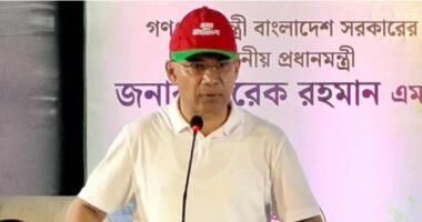 দেশেই লন্ডন-ইউরোপের মতো স্বাস্থ্যসেবা পৌঁছে দিতে চায় সরকার: প্রধানমন্ত্রী তারেক রহমান