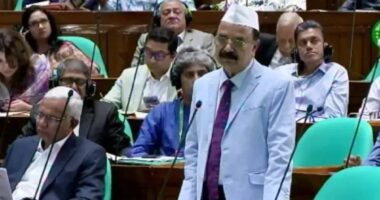 ভুয়া সনদের দাপটে নিজের ‘মুক্তিযোদ্ধা সনদ’ ছিঁড়ে ফেলিছি : গয়েশ্বর