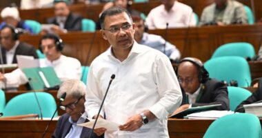জাতীয় সংসদকে ব্যর্থ হতে দেওয়া যাবে না: প্রধানমন্ত্রী