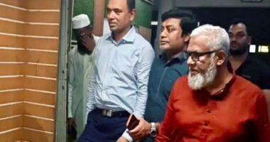 আটকের সাড়ে ১২ ঘণ্টা পর ছাড়া পেলেন সেই বিএনপি নেতা