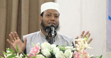আমি এমপি হওয়াতে অনেকেই টেন্ডারবাজি চালাতে পারছে না: আমির হামজা
