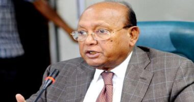 তোফায়েল আহমেদের বিরুদ্ধে গ্রেফতারি পরোয়ানা, আইনজীবী জানালেন ‘স্মৃতি শক্তি নেই’