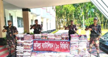কুমিল্লায় ৬০ লক্ষ টাকার ভারতীয় শাড়ি জব্দ করল ১০ বিজিবি